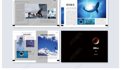 《圖文天下》畢業設計 國家地理主題旅游畫冊矢量模板全解析